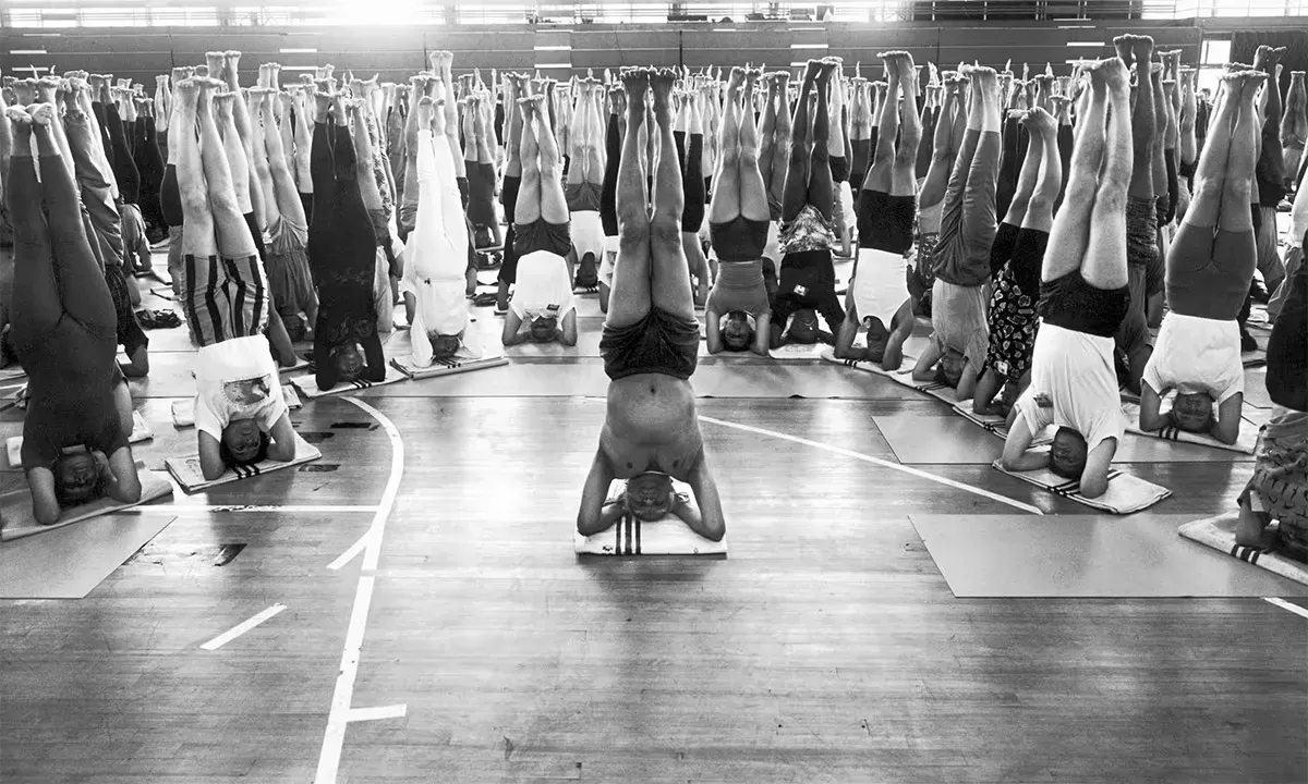 A large group of practitioners in a gymnasium, all in Headstand pose, seen from behind facing rows of hanging light fixtures